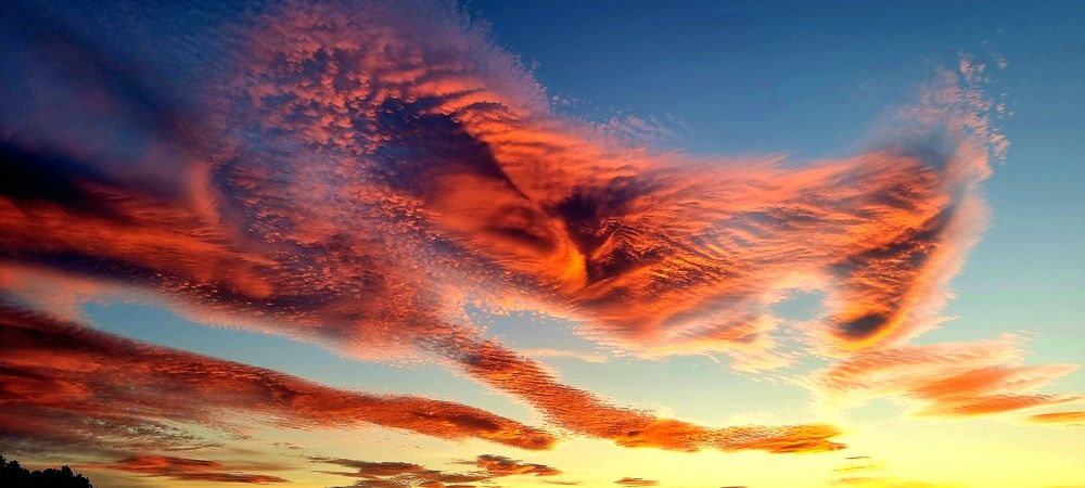 Борей надул щеки