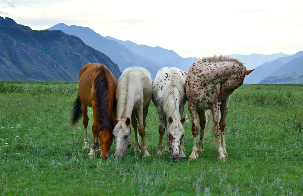 Photograph by дмитрий