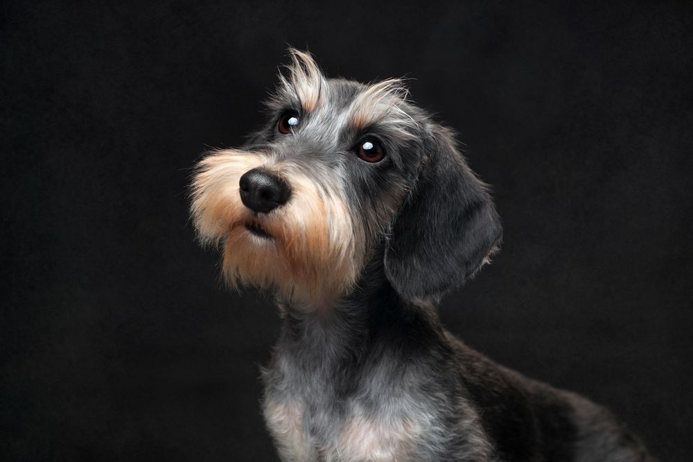 Photograph by Надежда Иванова