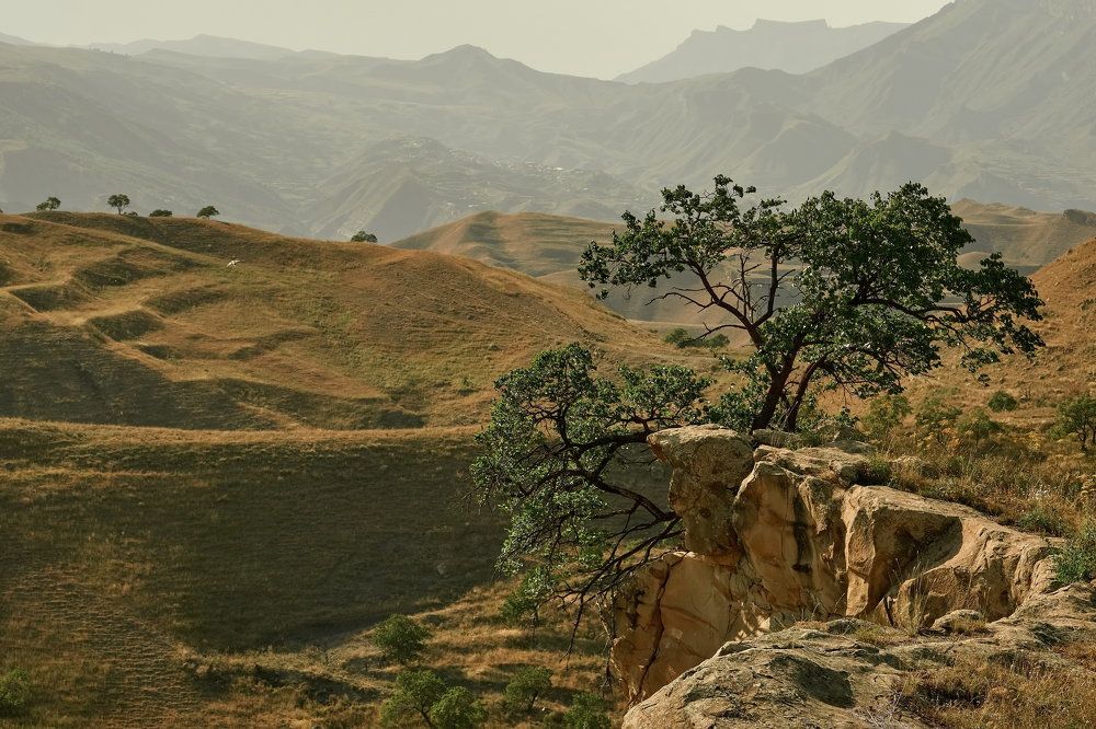 Фотография автора Siergiejevicz Mihail