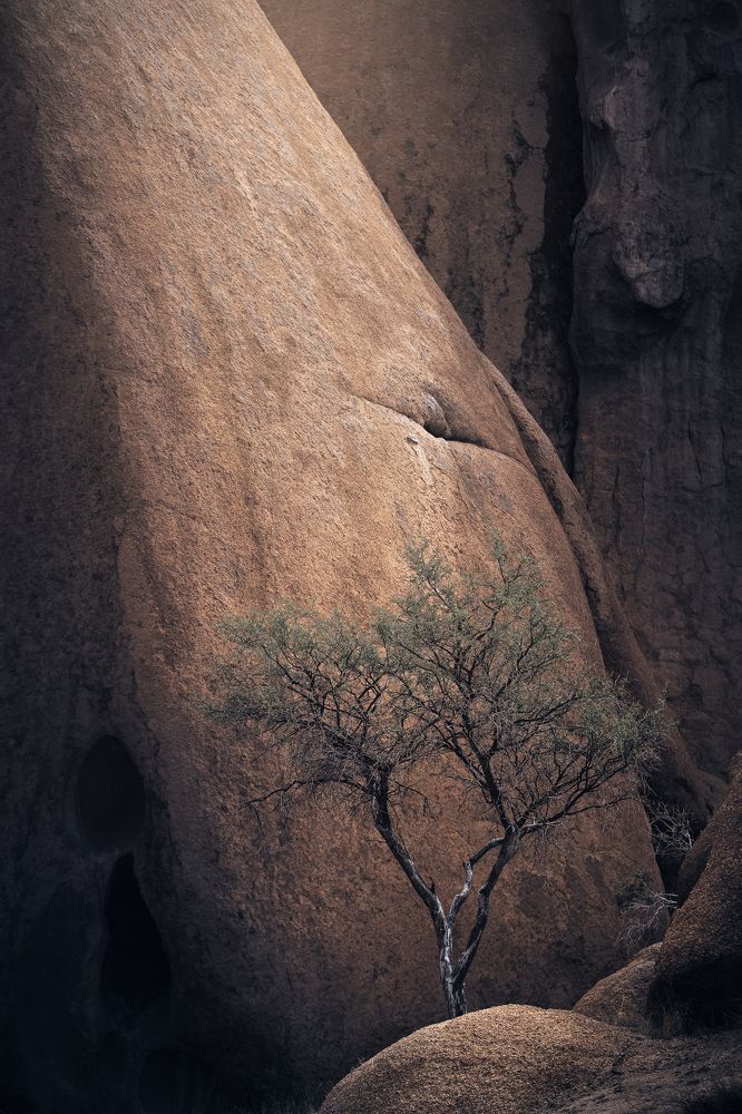 Photograph by Carlos André Silva Antunes