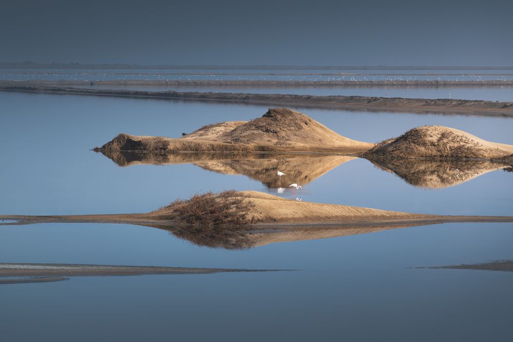 Photograph by Carlos André Silva Antunes