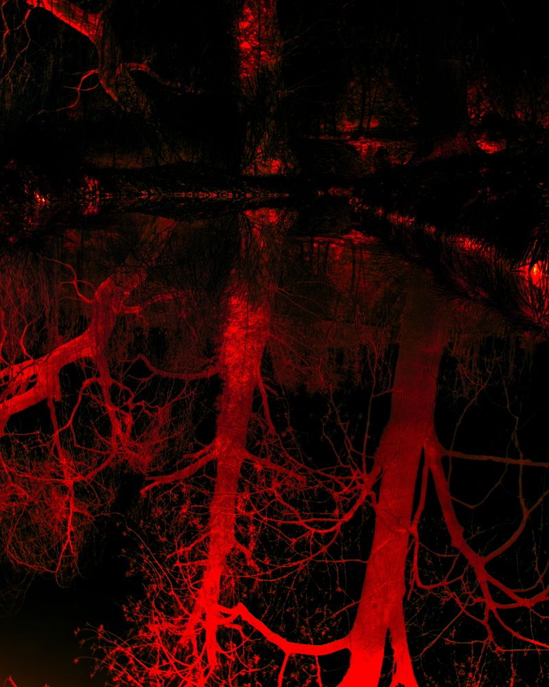 Photograph by Vladyslav Zolotarevskyi