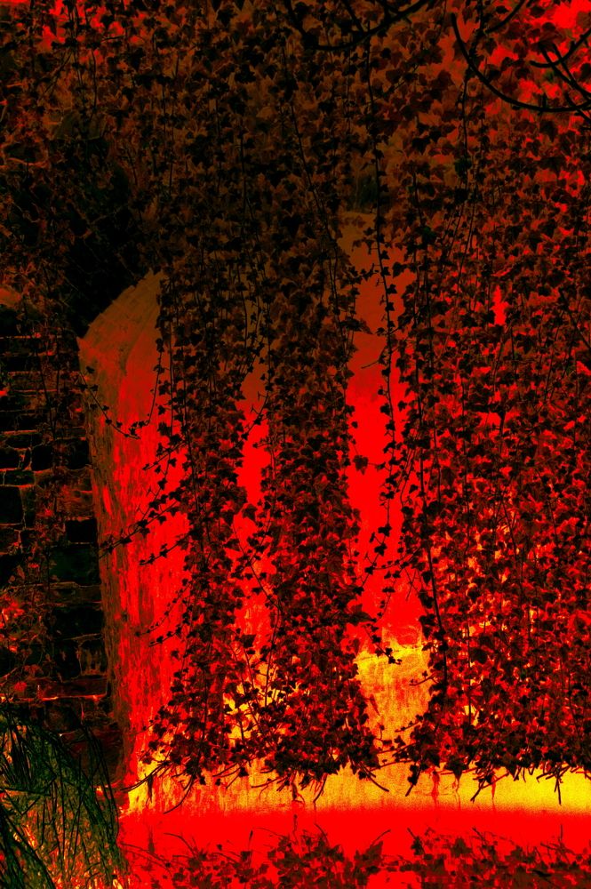 Photograph by Vladyslav Zolotarevskyi