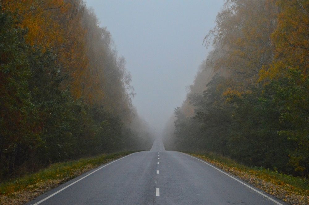 Photograph by Анна Богданова