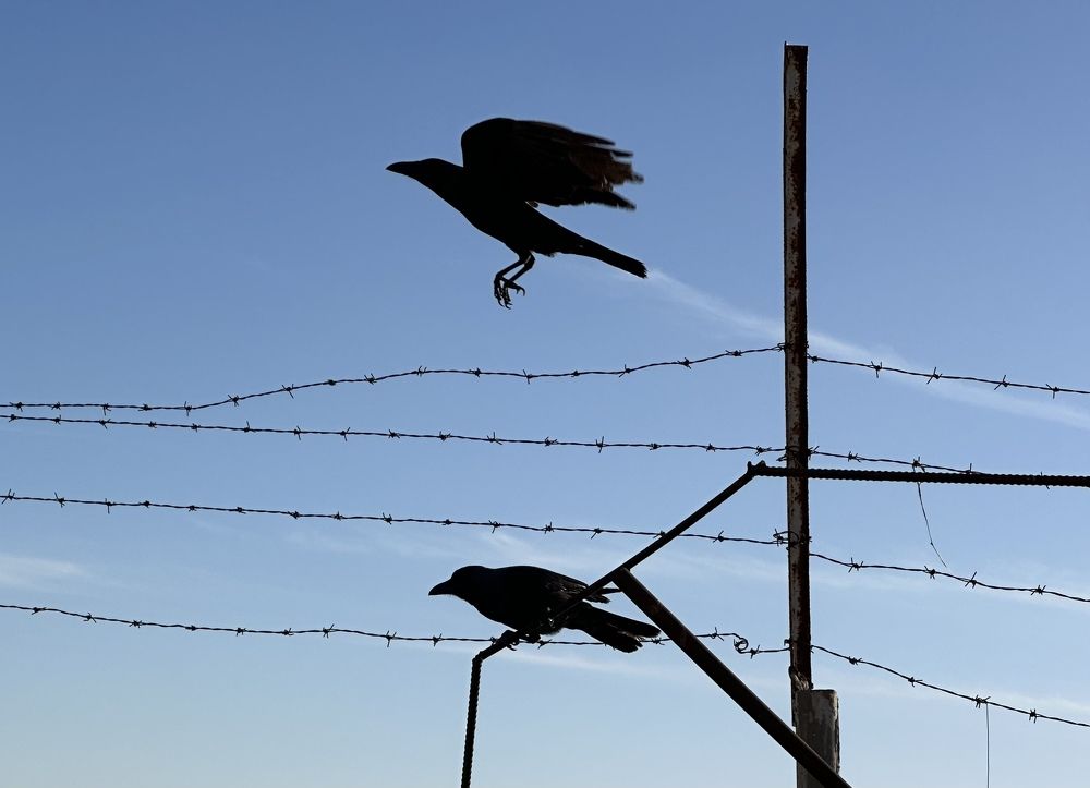 Photograph by Evgenia Barinova