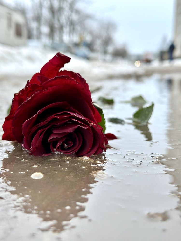 Photograph by Evgenia Barinova