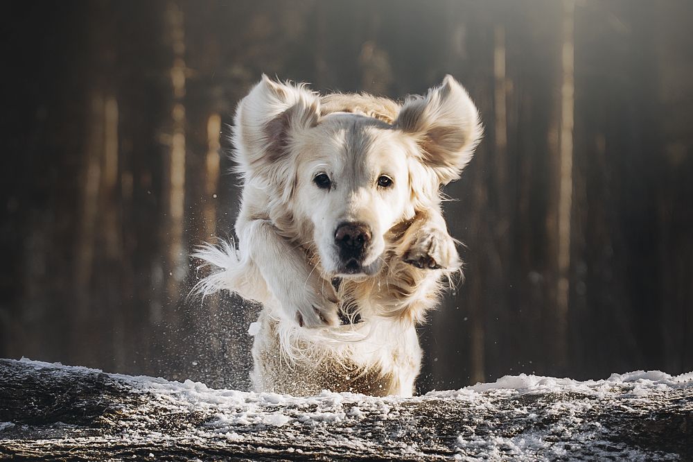 Photograph by Анастасия Осипова