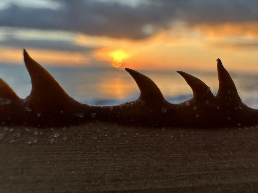 Photograph by Evgenia Barinova