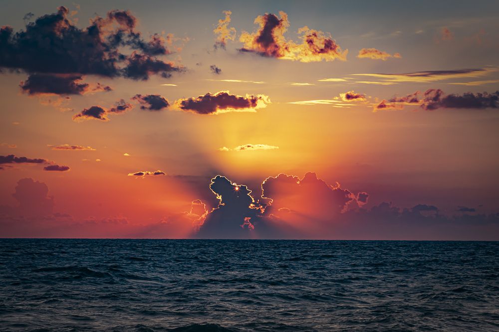 Фотография автора Светлана Котлярова