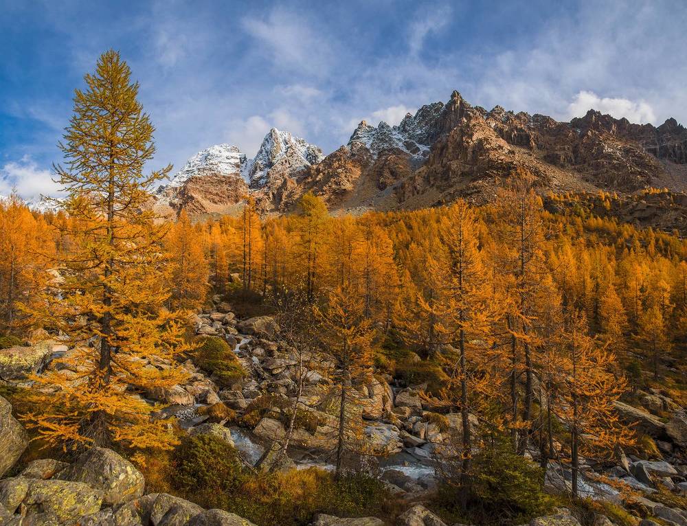 Autumn in Preda Rossa