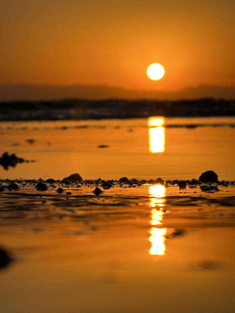 Photograph by Evgenia Barinova