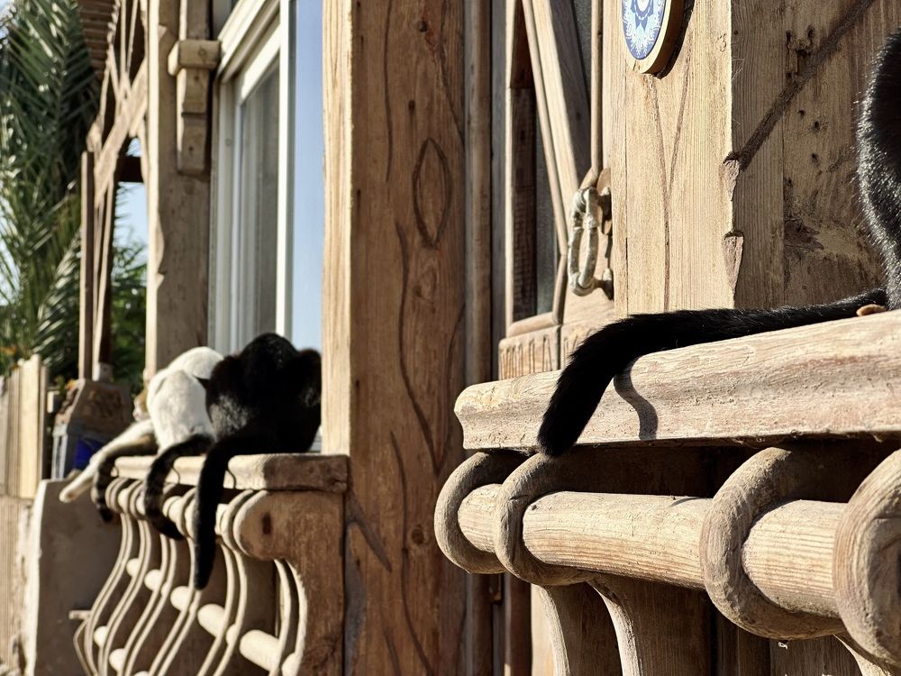 Photograph by Evgenia Barinova