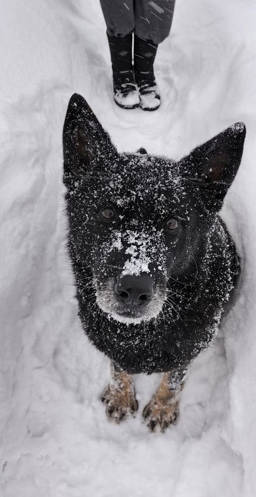 Photograph by Елена Алексеева