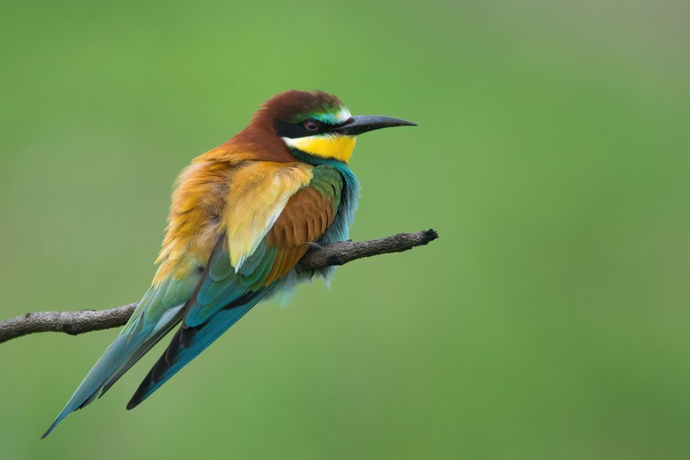 Photograph by Дмитрий Шевцов