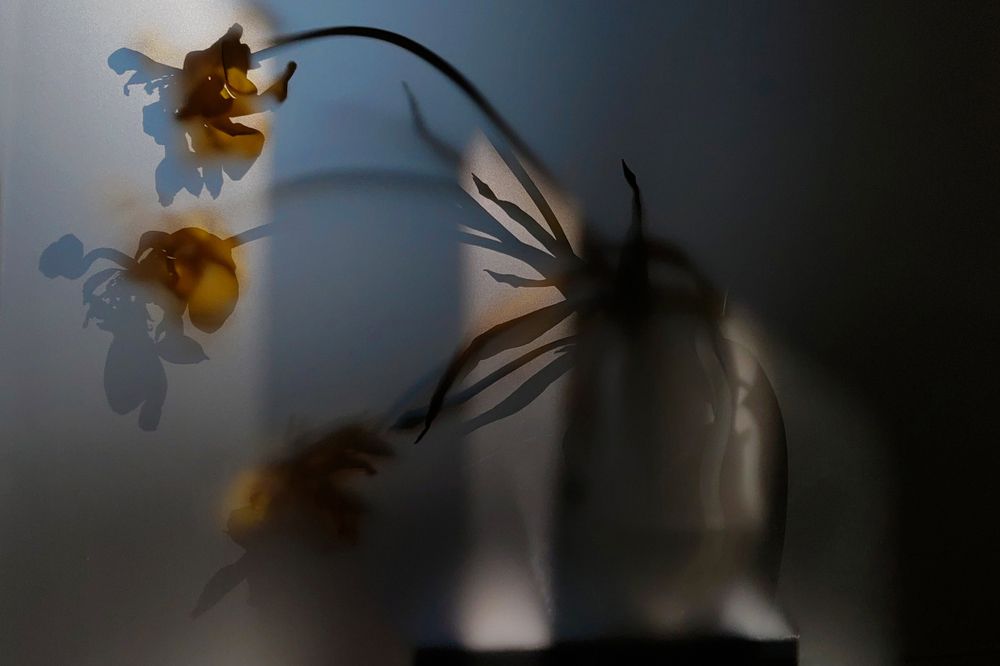 Photograph by Елена Алексеева