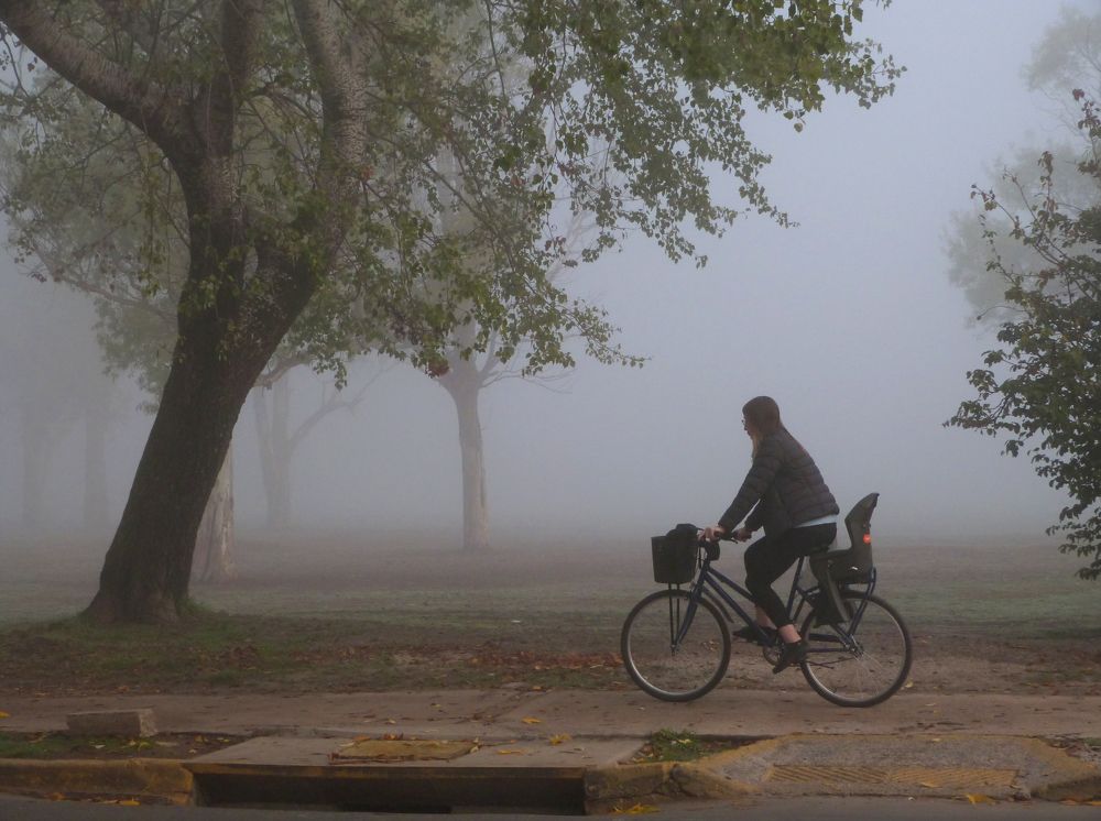 Photograph by GLEYDA GUTIÉREZ