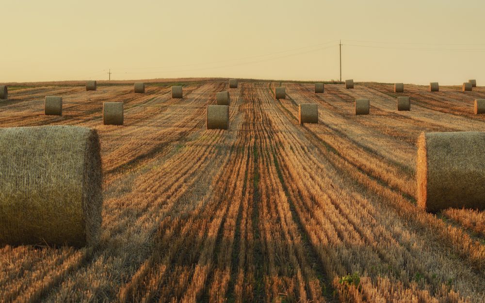 Photograph by Сергей Дишук