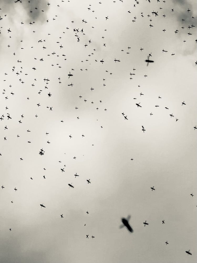 Photograph by Evgenia Barinova