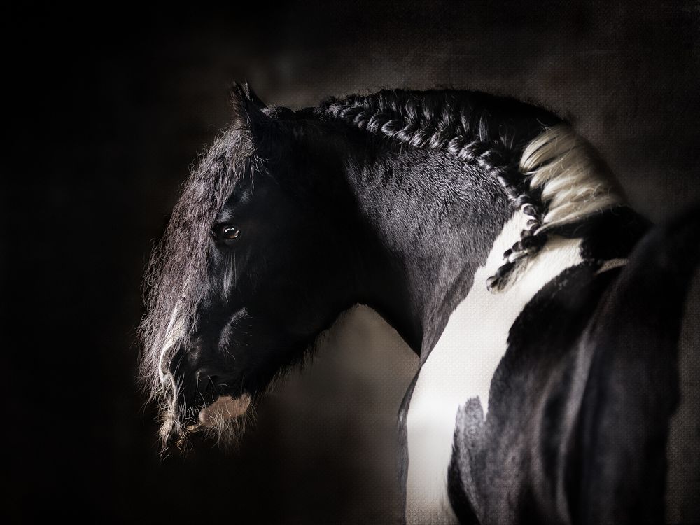 Фотография автора Nadina Ironia