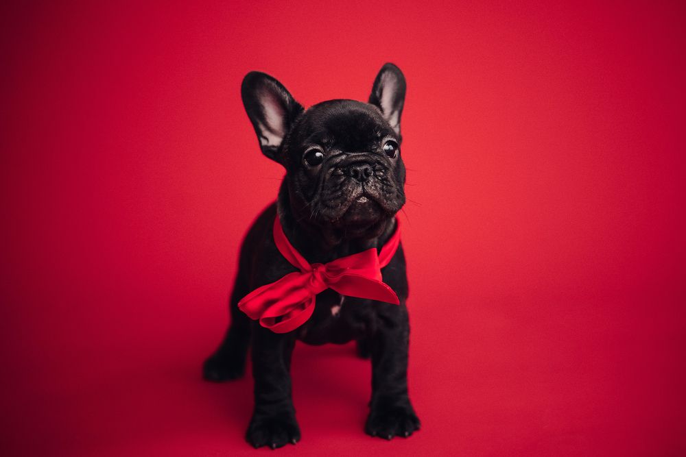 Фотография автора Anastasia Struna