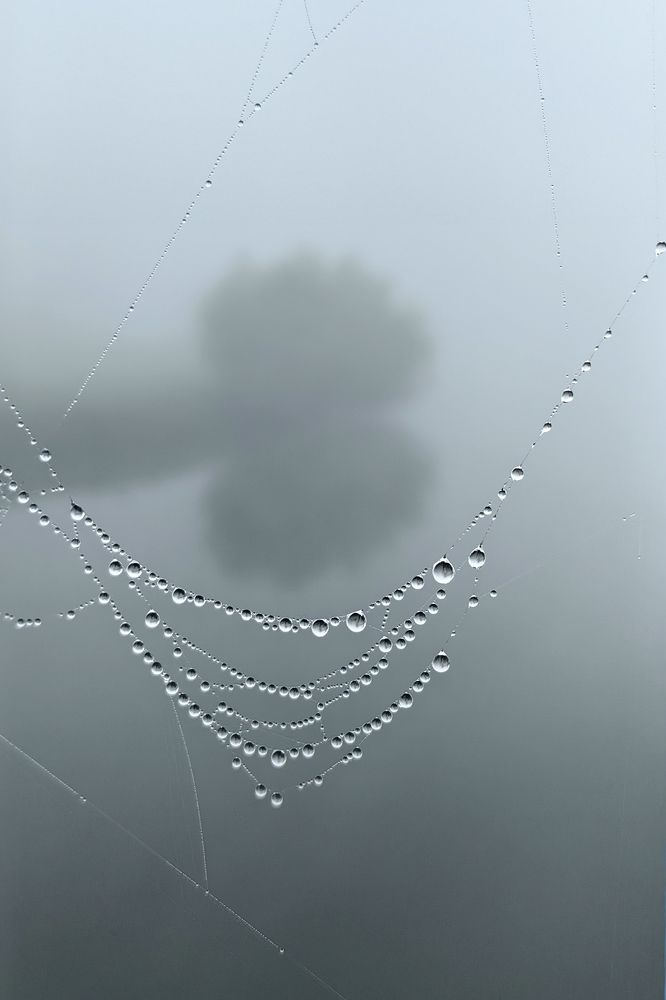 Photograph by Елена Алексеева