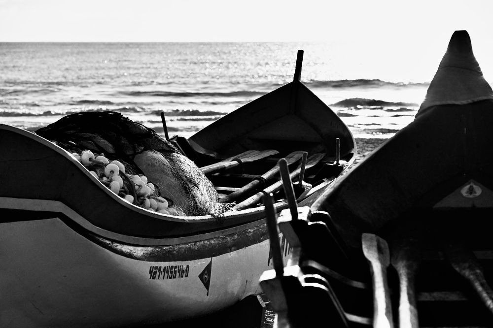 Photograph by Jaime Baiao