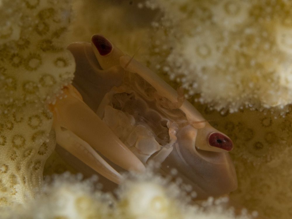 Photograph by Diogo Benchimol