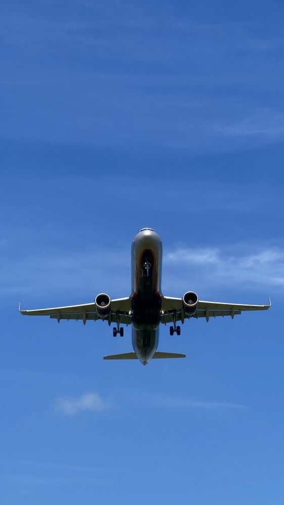 Фотография автора Елена Меньшикова