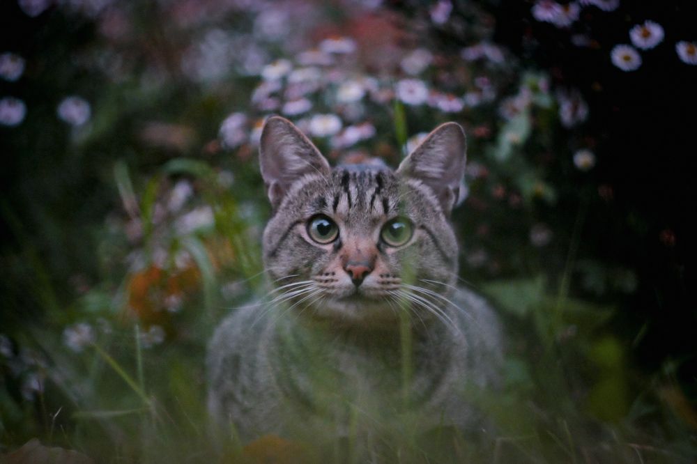 Photograph by Regina Gritsenko