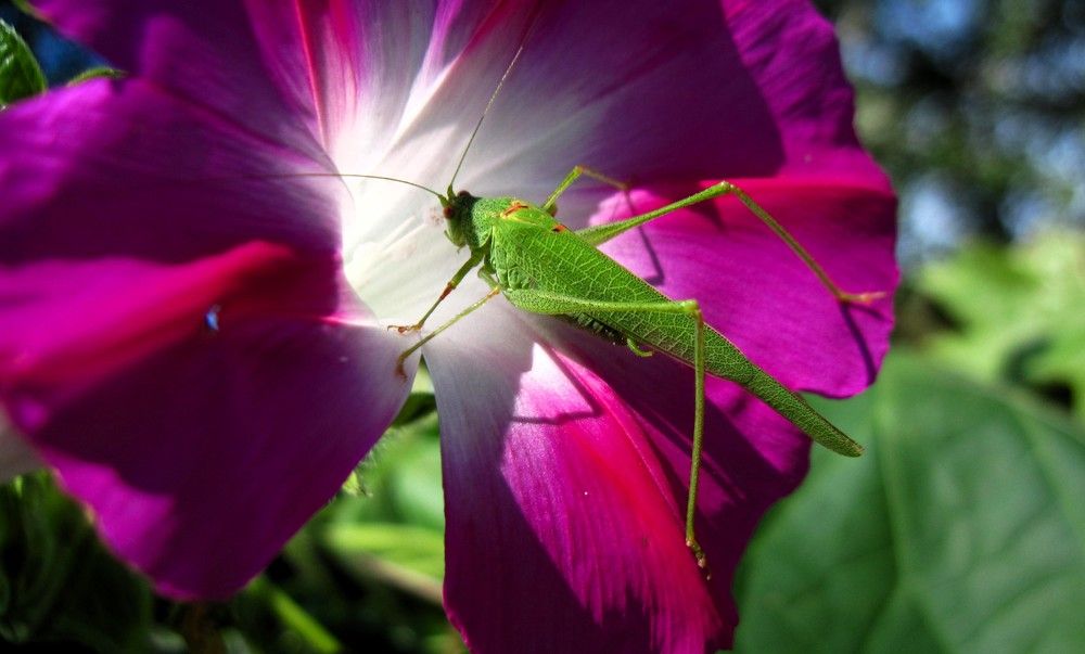 Photograph by Viktoriia Rusanova