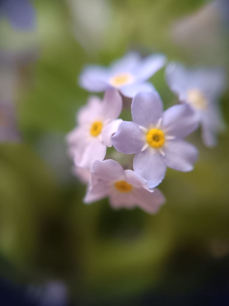 Photograph by Екатерина Одинцова