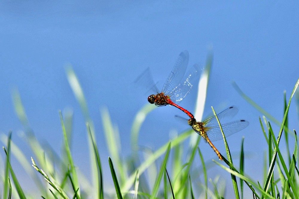 Забери меня с собой