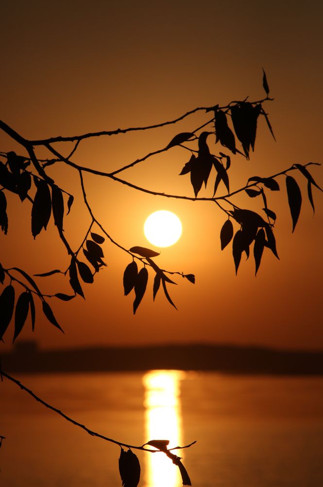 Огненный закат