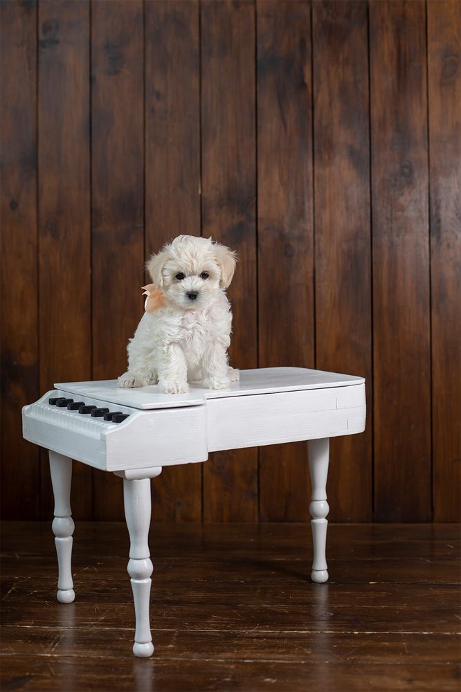 Photograph by Оксана Рачинская