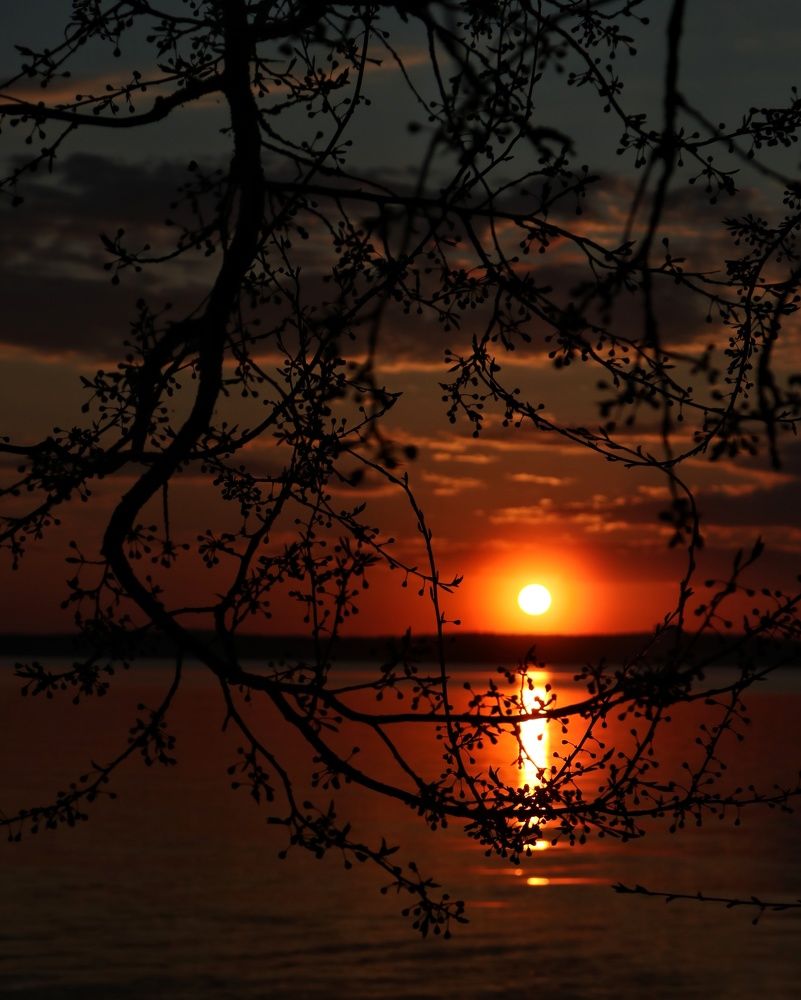 Апрельский закат