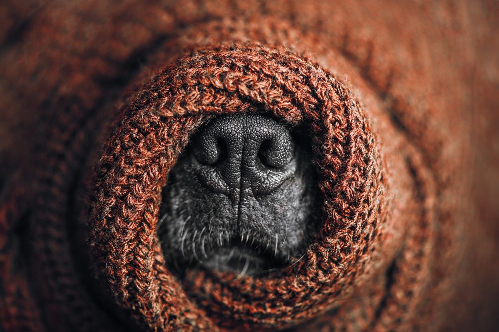 Photograph by Nadiya Papina