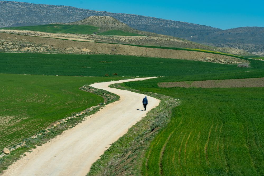 Фотография автора Светлана Зимина