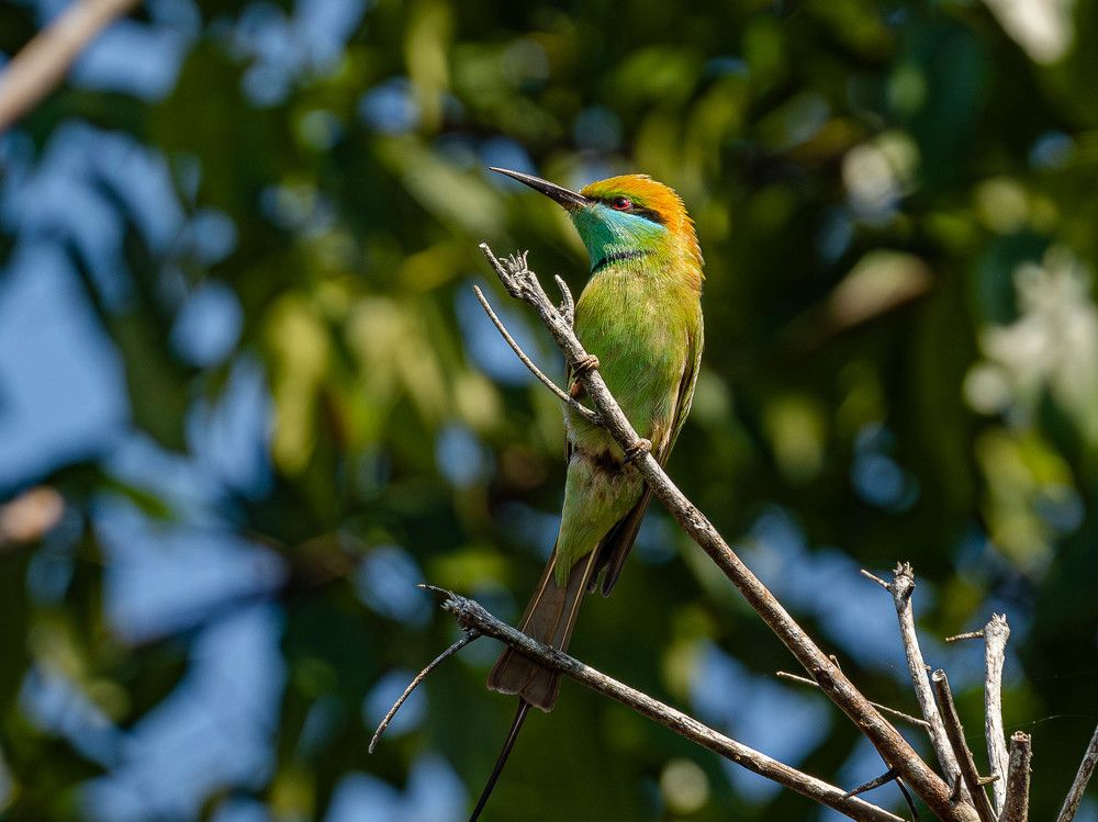 Photograph by Sahil K