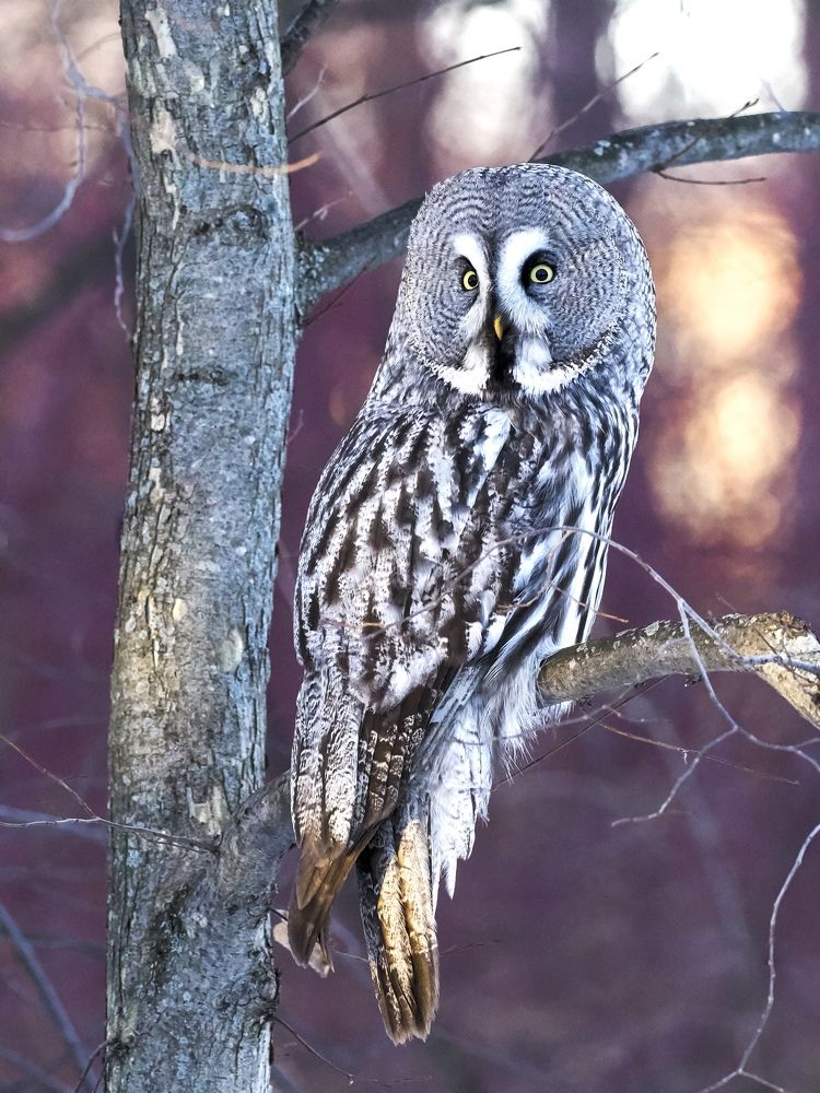 Фотография автора Mariya Belyalova