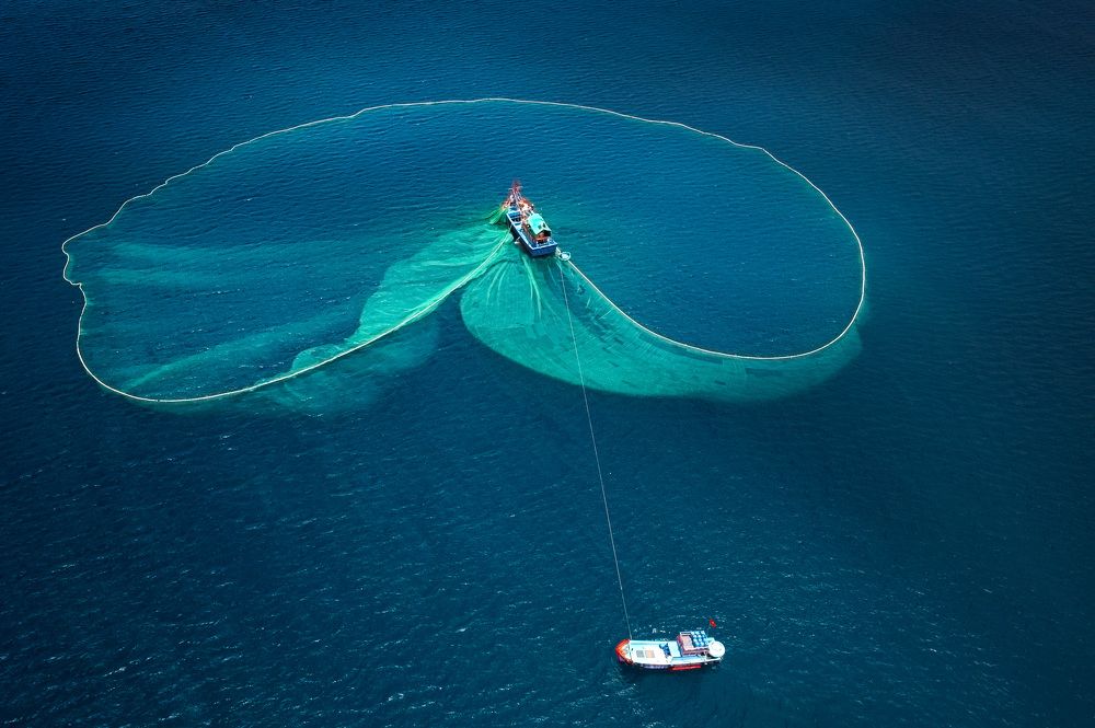 Photograph by Hanh P. T. Pham