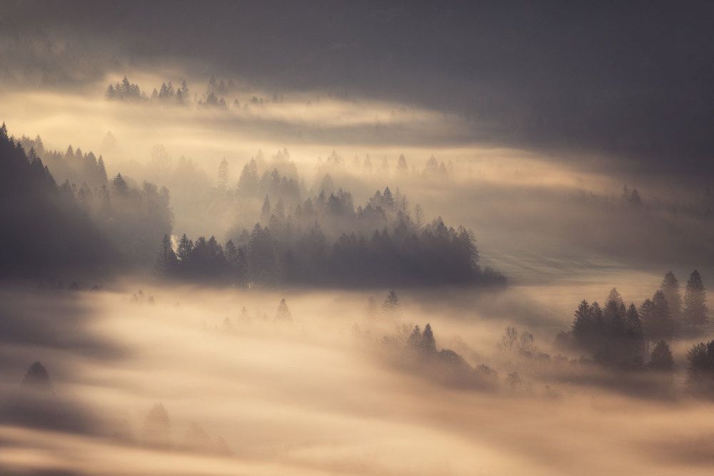 Утро туманное