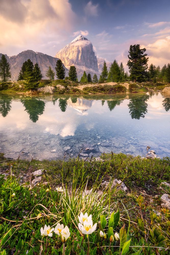 Фотография автора Oleg Rest