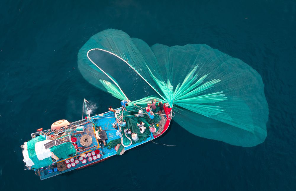 Photograph by Hanh P. T. Pham