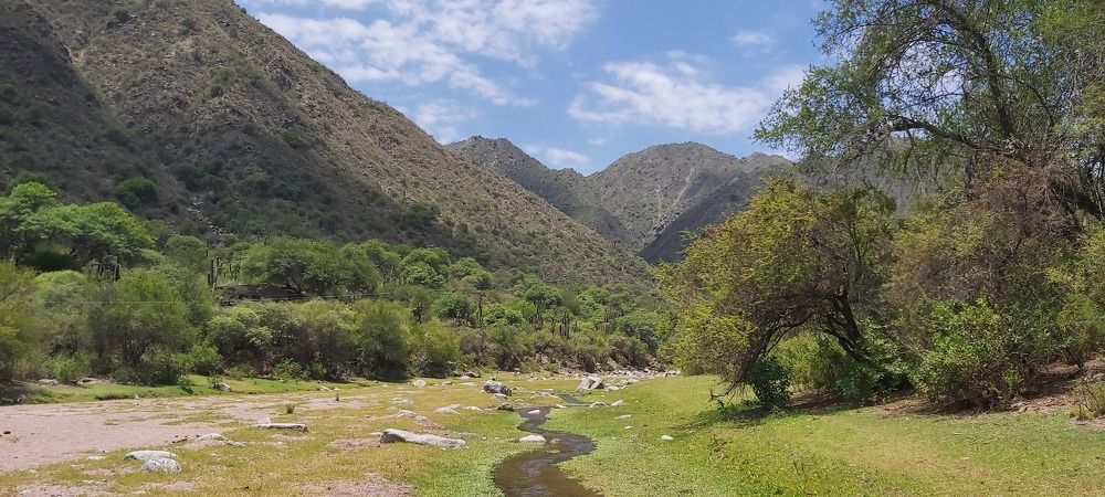 Photograph by CARLOS JAVIER PIRALI