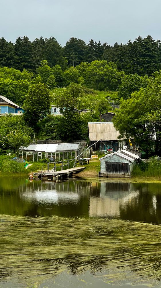 Фотография автора Елена Меньшикова