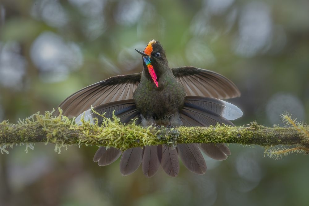 Photograph by Heiler