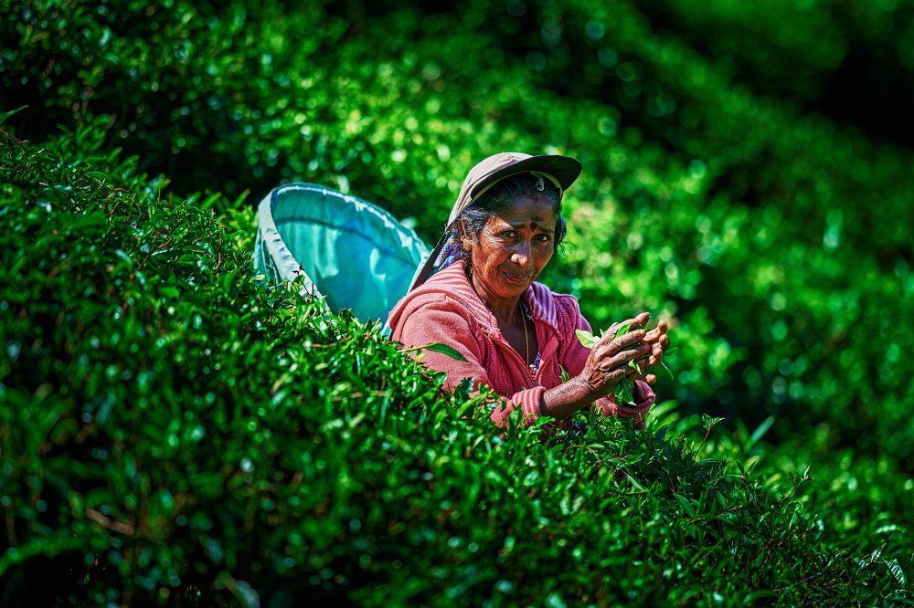 Photograph by Сергей Халецкий