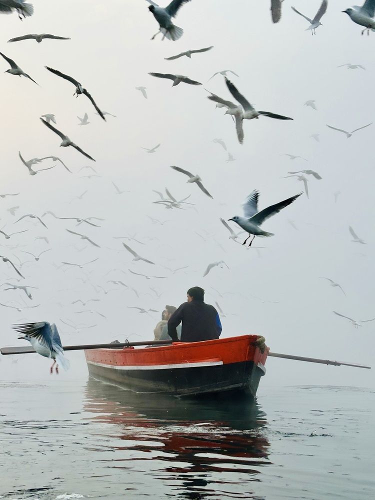 Photograph by Claynin