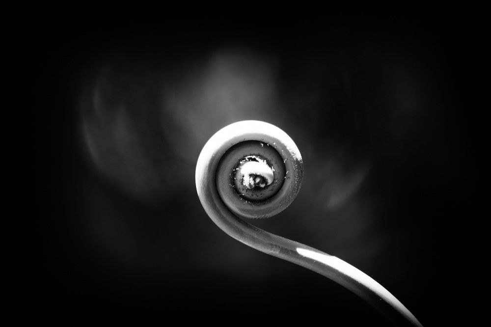 Photograph by Daria Osipova